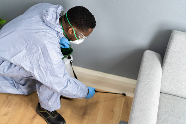 Best Pest Exclusion Services  in Weslaco, TX